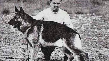 Día Nacional del Perro: por qué se celebra hoy 2 de junio en Argentina